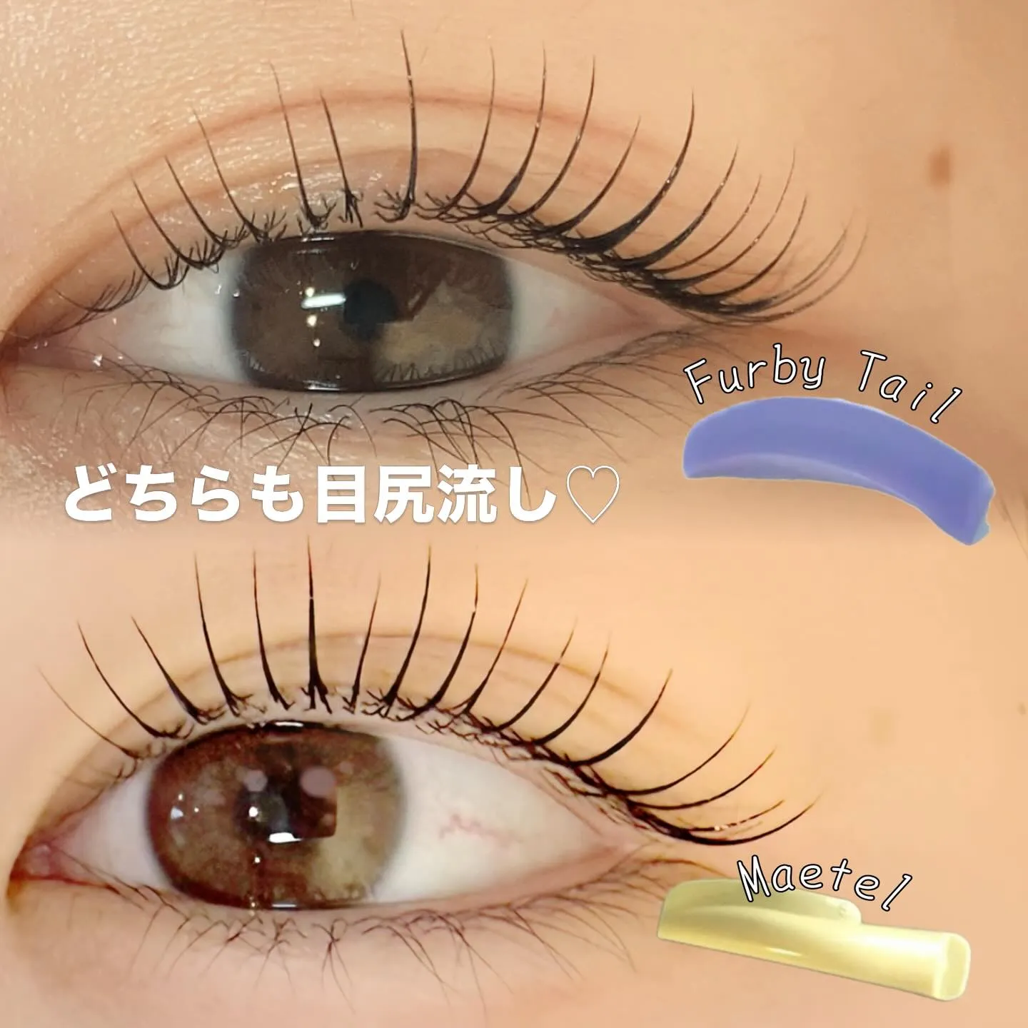 カール派??立ち上げ派??