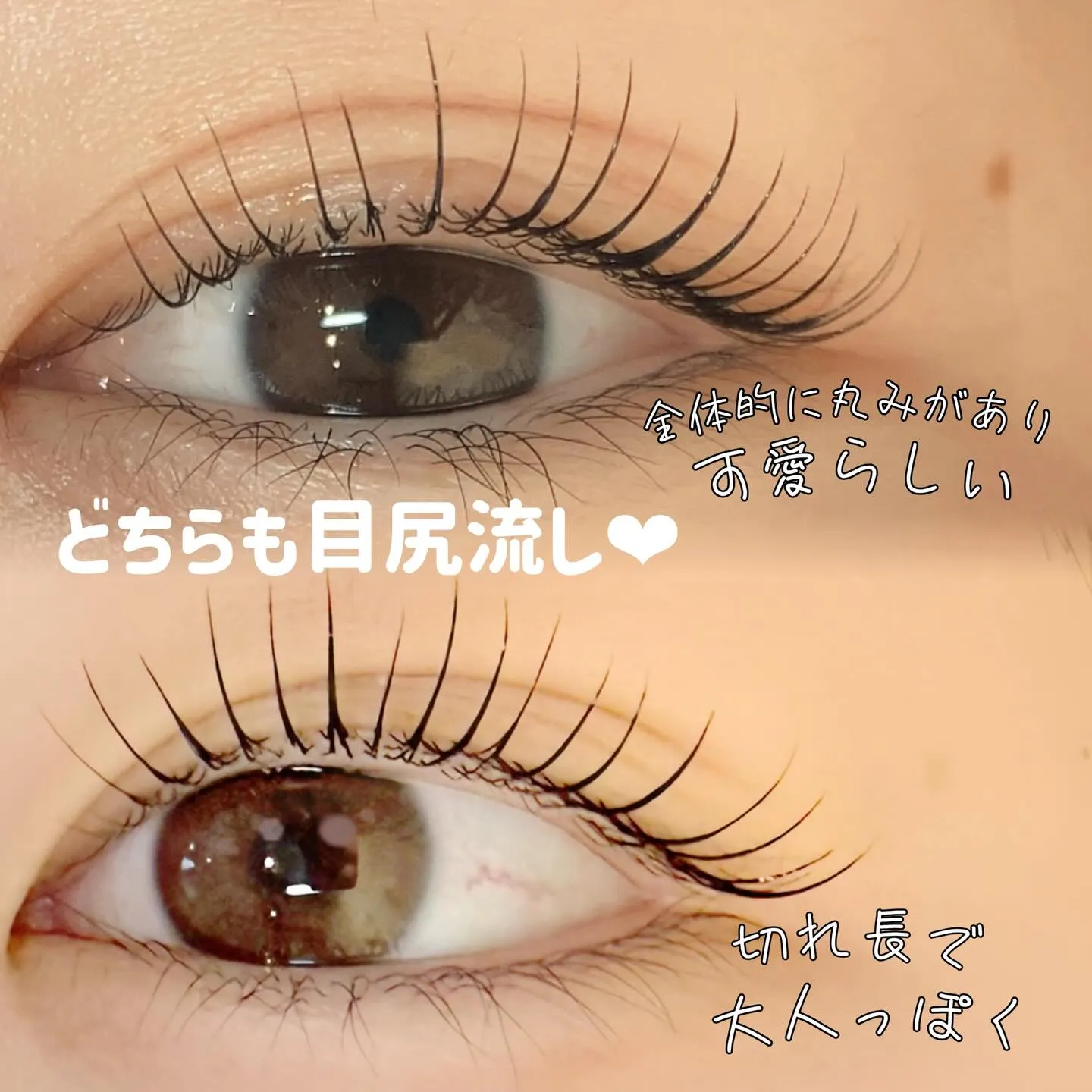 カール派??立ち上げ派??