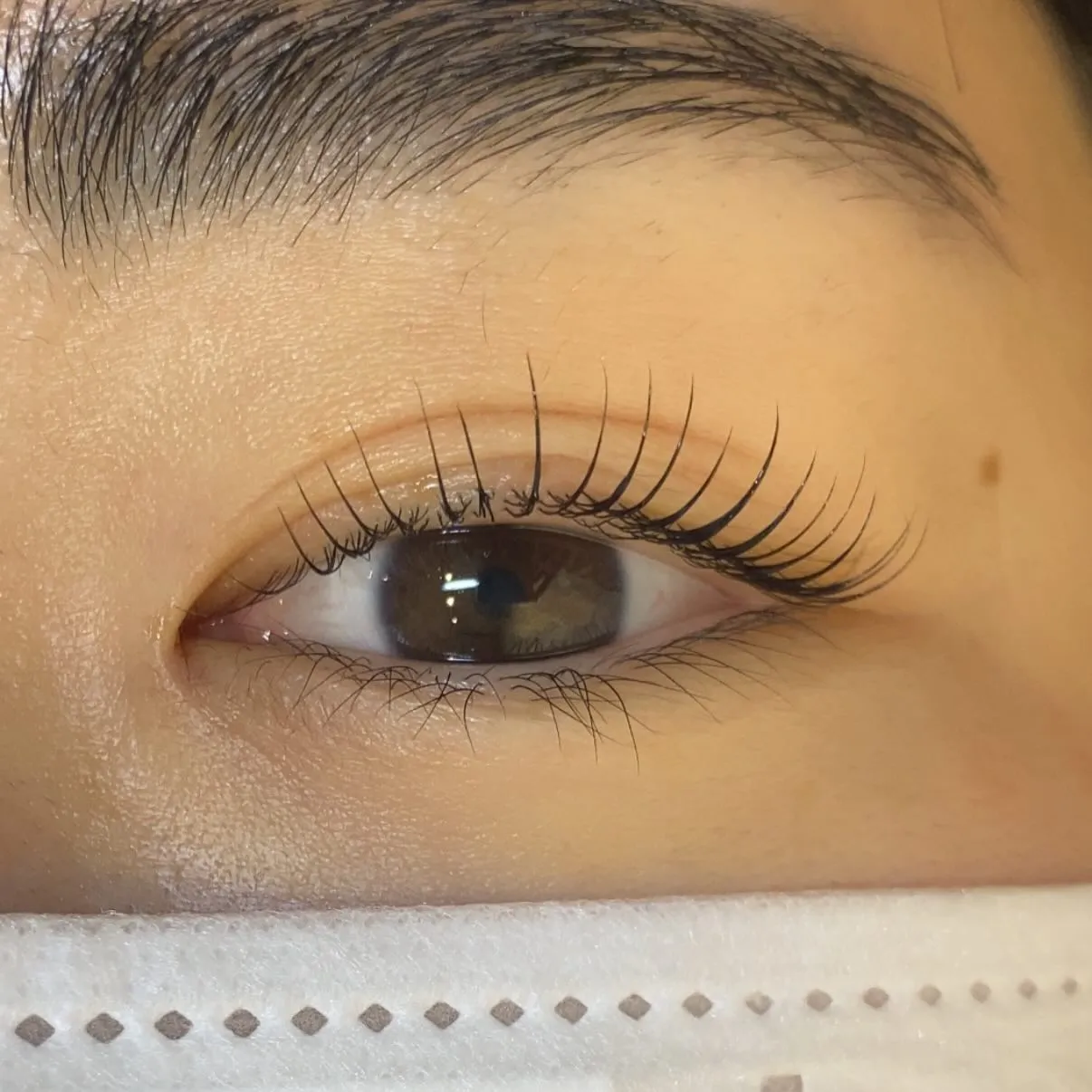 カール派??立ち上げ派??