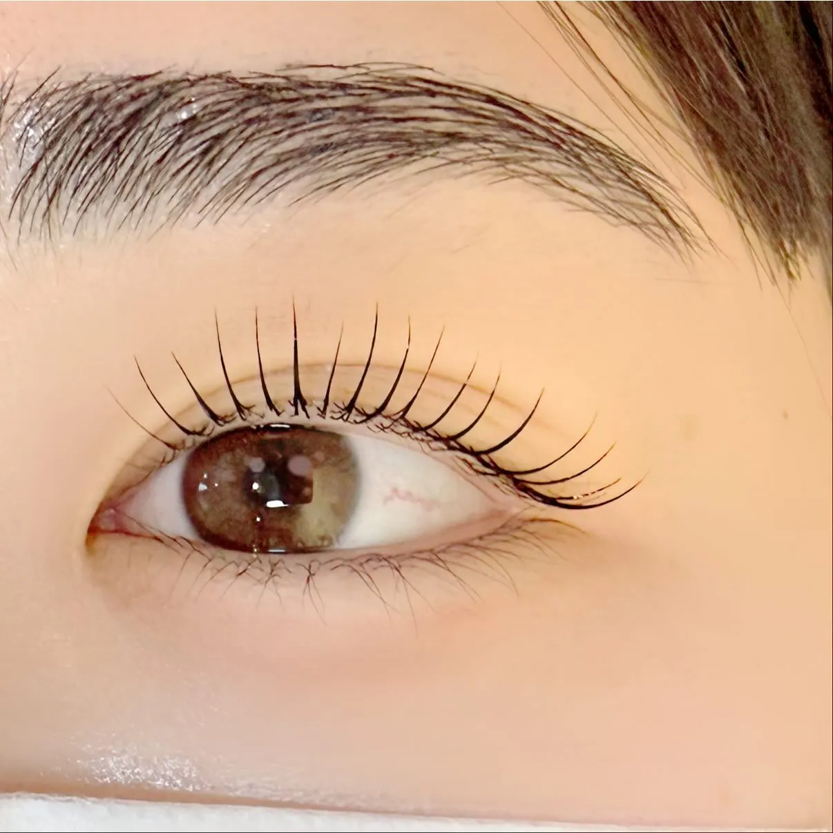 カール派??立ち上げ派??