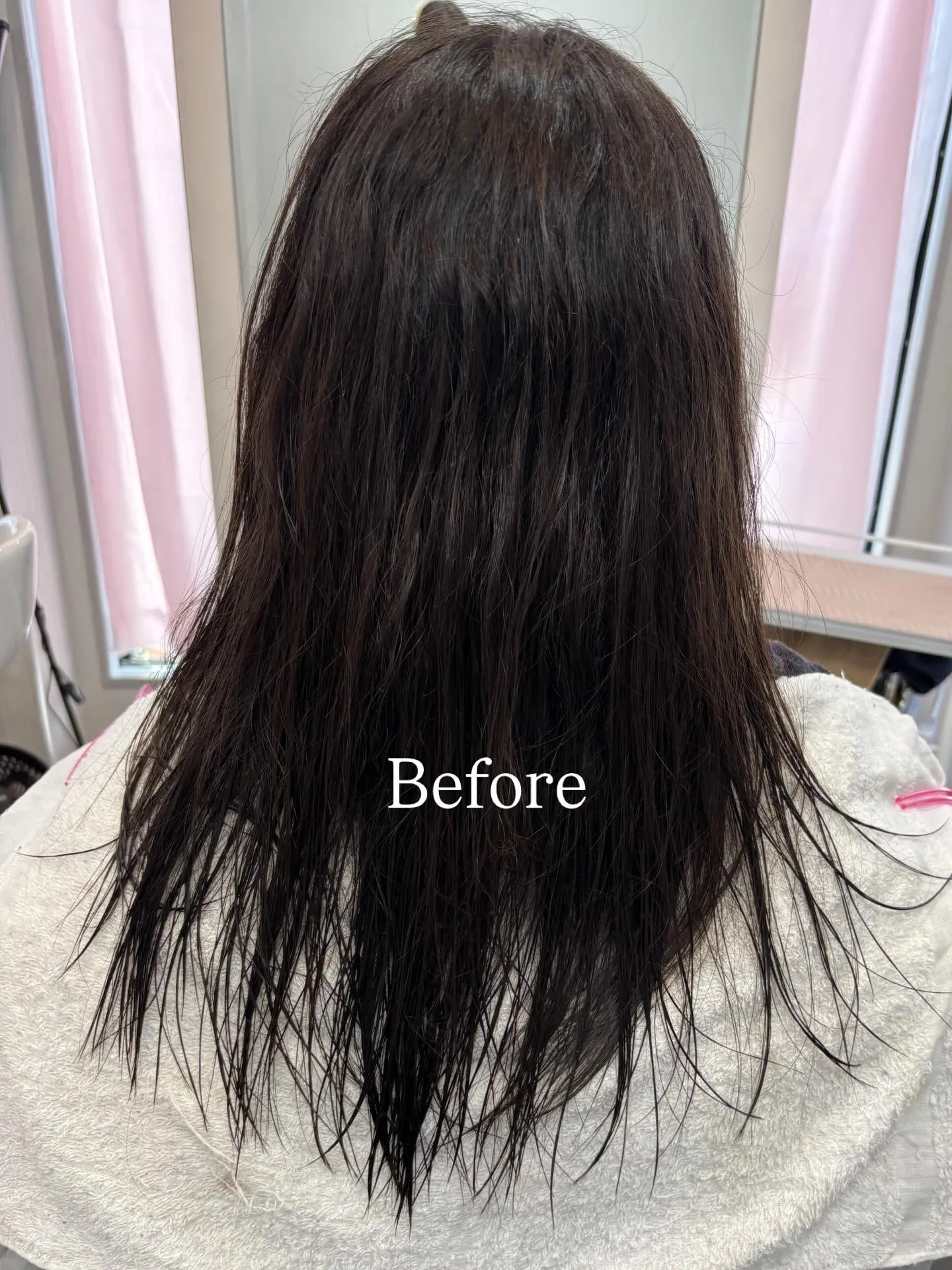 春のキャンペーン♡