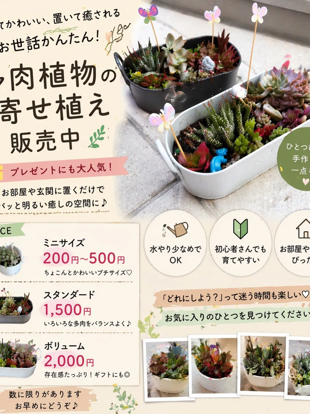 マルシェ出店します🎪✨