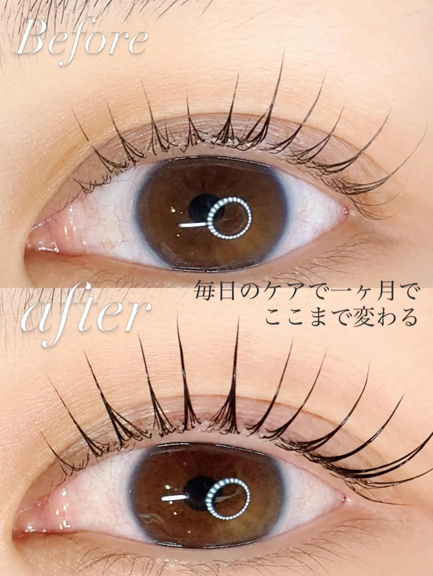 ラッシュアディクト、購入だけでもOKです♡