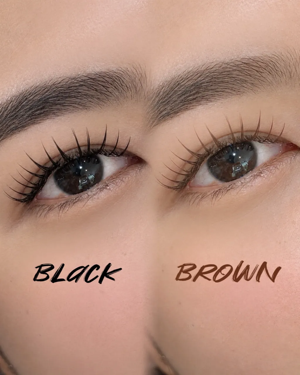 🎀black VS brown🎀